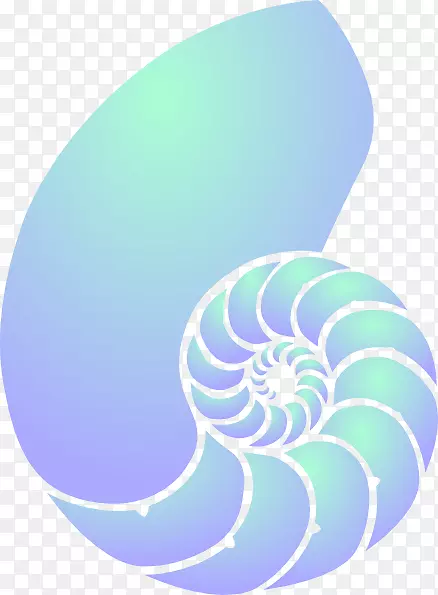 海棠海贝壳室海螺夹艺术-蓝色贝壳