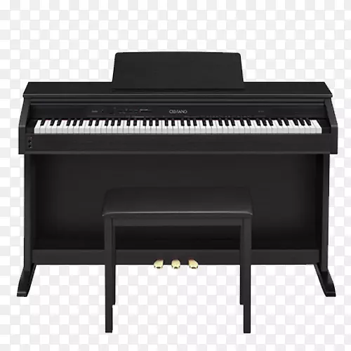 数字钢琴乐器键盘Privia.乐器