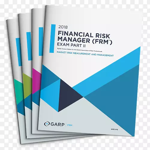 财务风险管理财务风险经理手册2001-2002年财务手册