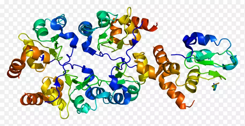 BIRC 7基因蛋白无名指结构域微邻苯二甲酸相关转录因子