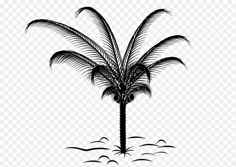 纸槟榔科棕榈科植物草图设计