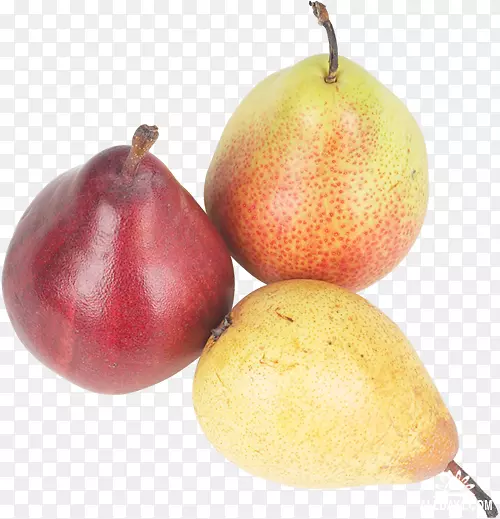 梨辅料水果天然食品-梨