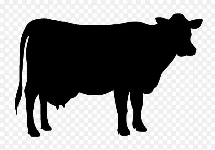 泽西牛，荷斯坦牛，弗里西亚牛，肉牛，剪影，剪贴画.剪影