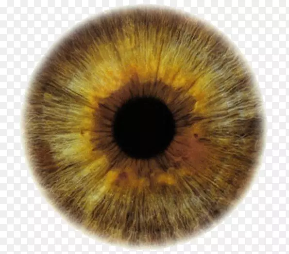 眼色虹膜配色方案-眼睛