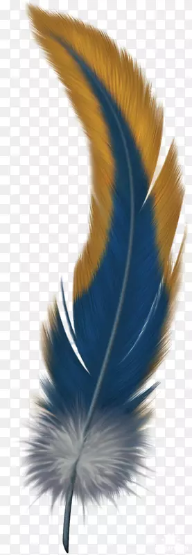 羽毛鸟夹艺术-羽毛