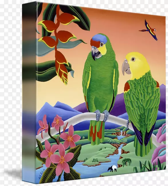 爱鸟金刚鹦鹉画亚马逊鹦鹉-亚马逊鹦鹉