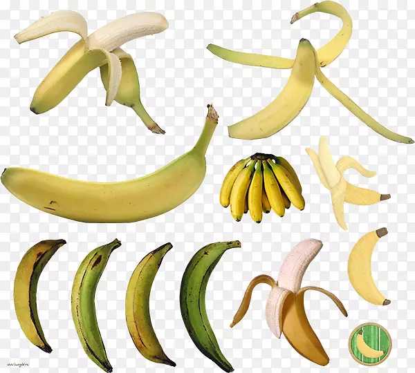 烹饪香蕉食用商品-香蕉
