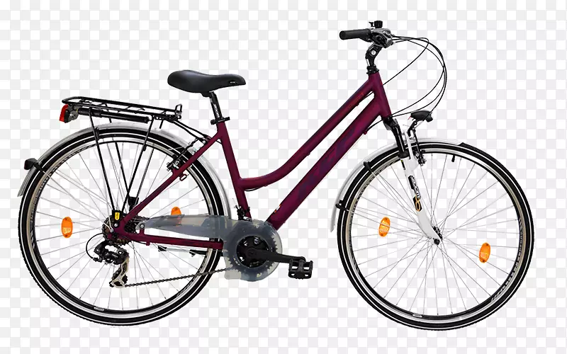 混合动力自行车山地车巨型自行车罗利自行车公司轮胎压力表