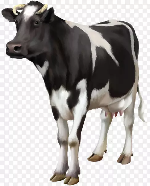 格恩西岛牛、牲畜、乳牛、牛牛、巴新牛