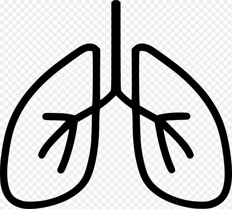 肺膈呼吸运动呼吸系统-阿兹温呼吸