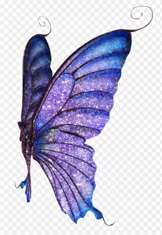 毛茸茸的蝴蝶，飞蛾，仙女，闪闪发光的蝴蝶。