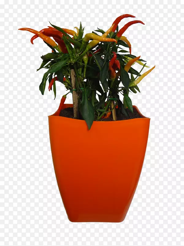 花盆花瓶橙色室内植物花瓶