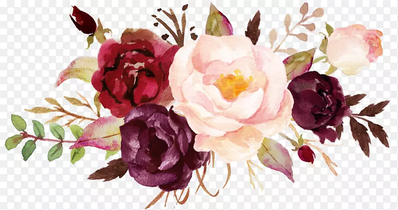 卷心菜，玫瑰，牡丹切花，花卉设计-牡丹