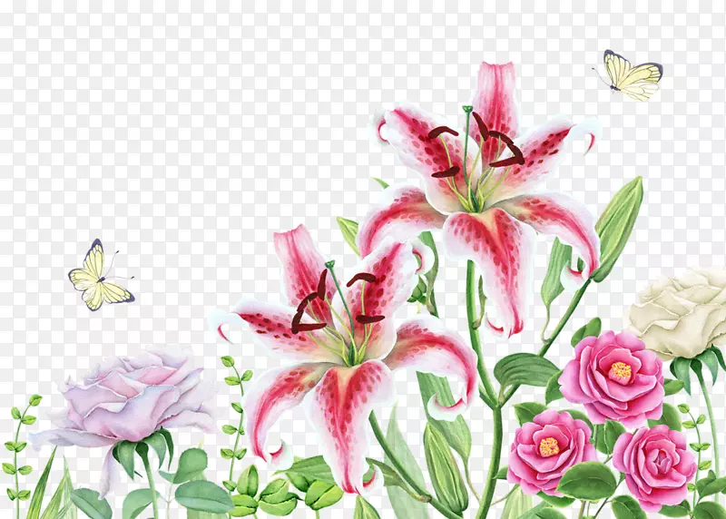 花卉设计百合水彩画-柯达