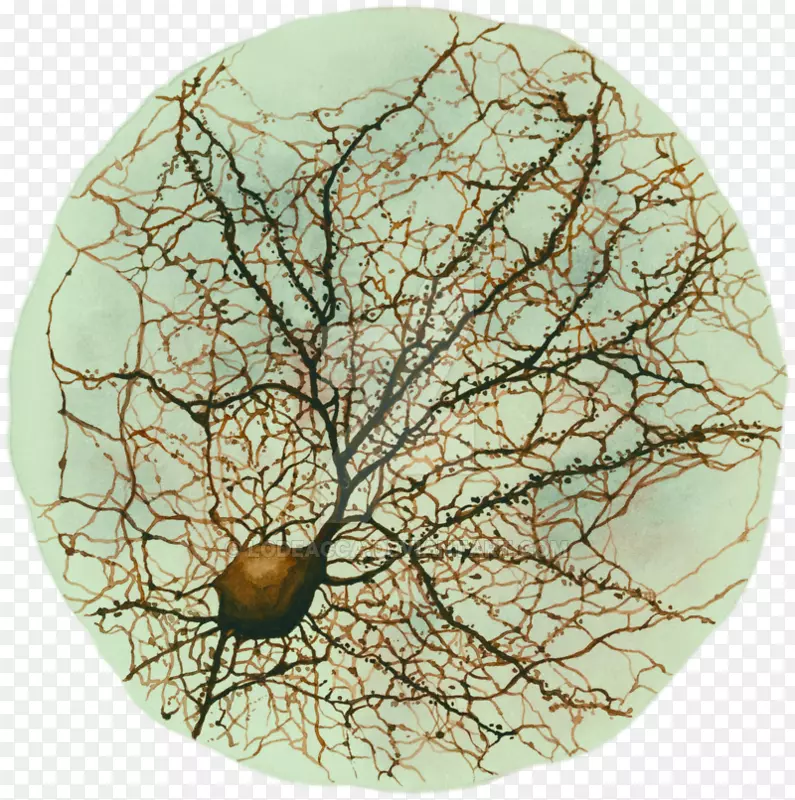 神经元画海马神经科学水彩画.脑水彩