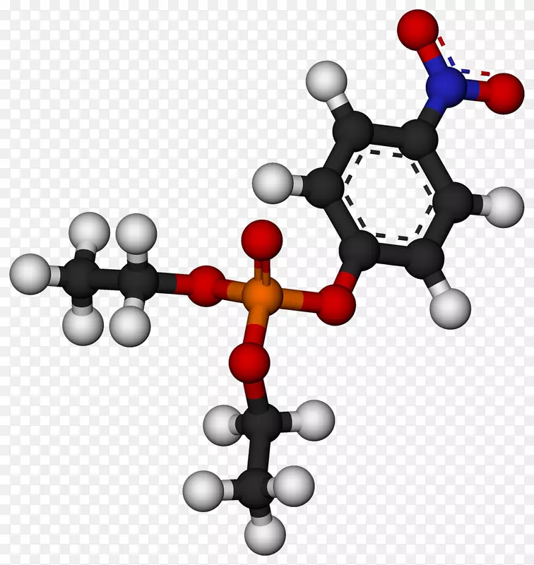 对硫磷有机磷对氧乙酰胆碱酯酶胆碱酯酶
