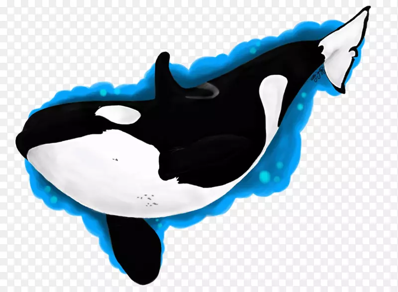 虎鲸海豚剪贴画-海豚