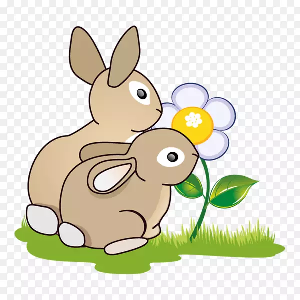 国内兔欧洲兔子复活节兔子剪贴画-兔子