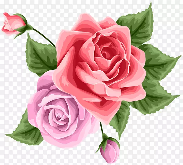 花园玫瑰，甘蓝，玫瑰花，切花，花卉设计-设计