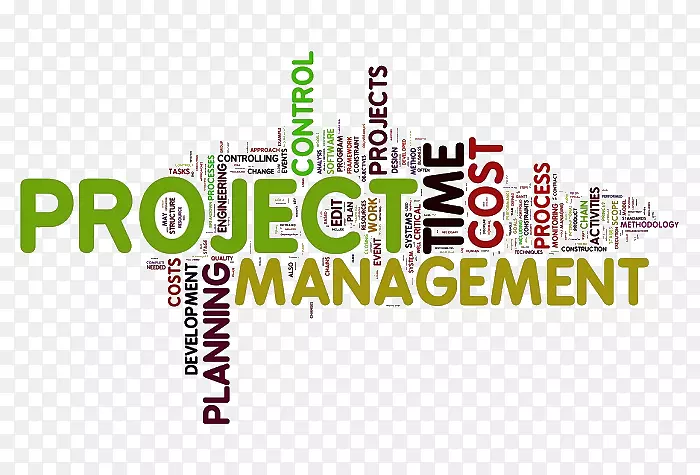 项目管理主体知识项目管理专业业务