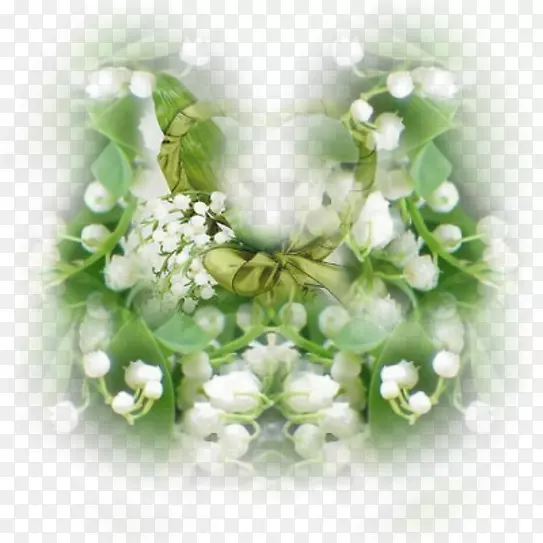 五月一日博客百合花的山谷花卉设计-分离
