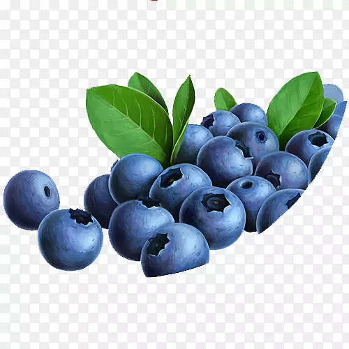 蓝莓茶越橘果蓝莓