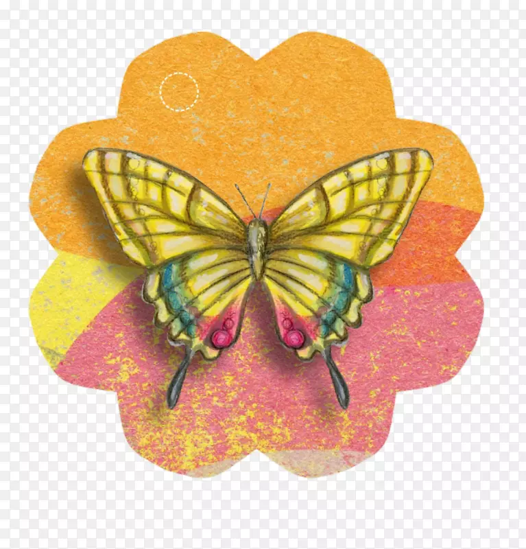 纸制蝴蝶贺卡和纸夹艺术-蝴蝶