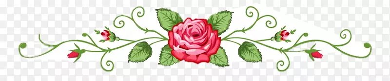 玫瑰花设计