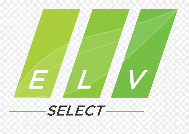 LOGO ELV SELECT公司回收品牌