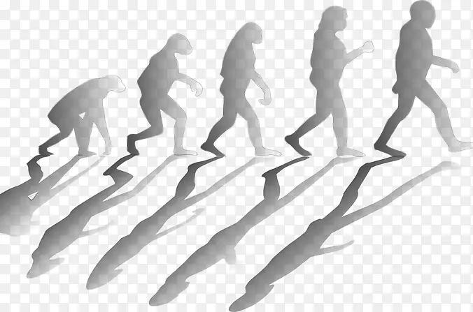 词搜索生物进化困惑科学-科学