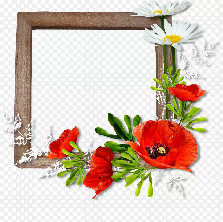 画框花卉设计摄影花卉