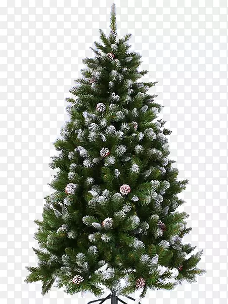 云杉人工圣诞树新年树针叶锥树