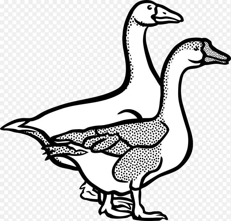 鹅线艺术鸭夹艺术-鹅
