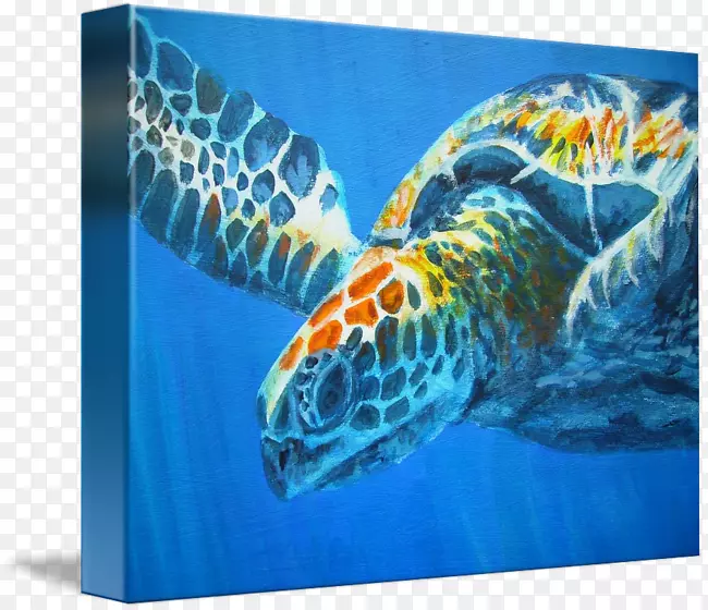 甲鱼艺术博物馆绘画-海龟