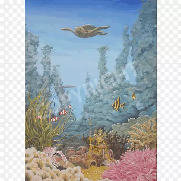 珊瑚礁、海洋生物、野生动物生态系统、水下-天空海