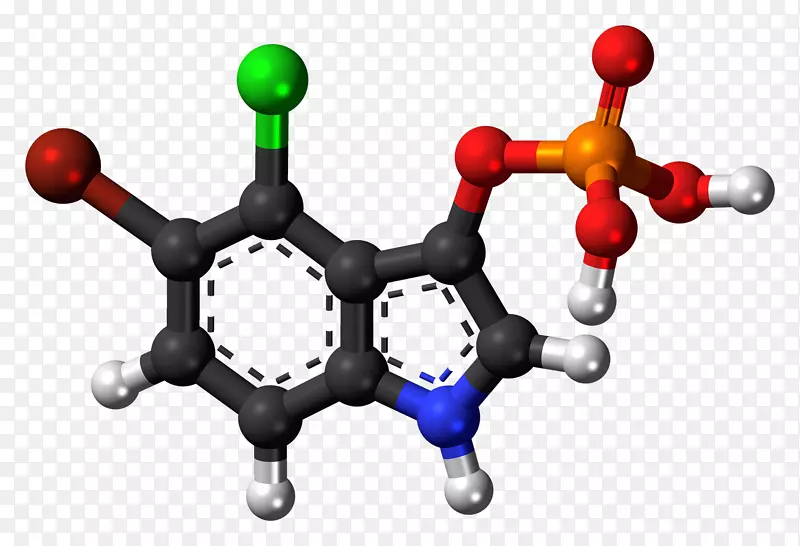 5-羟色胺药物吲哚研究化学物质