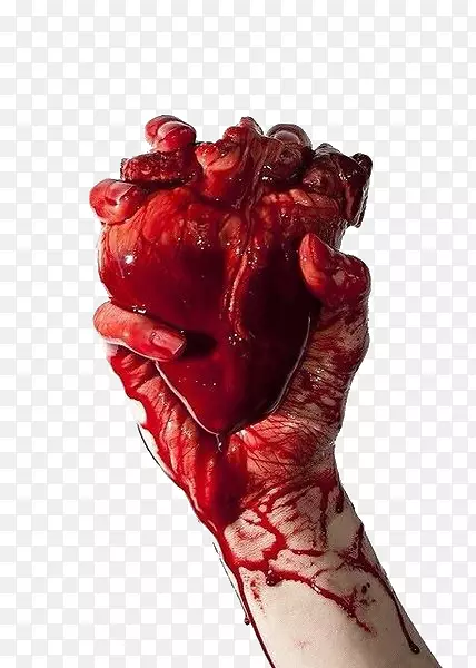 心脏血手解剖-心脏