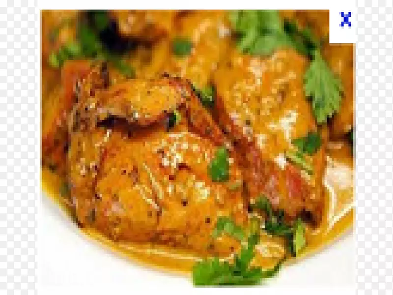 咖喱，巴基斯坦菜，korma vindaloo鸡肉，tikka-肉
