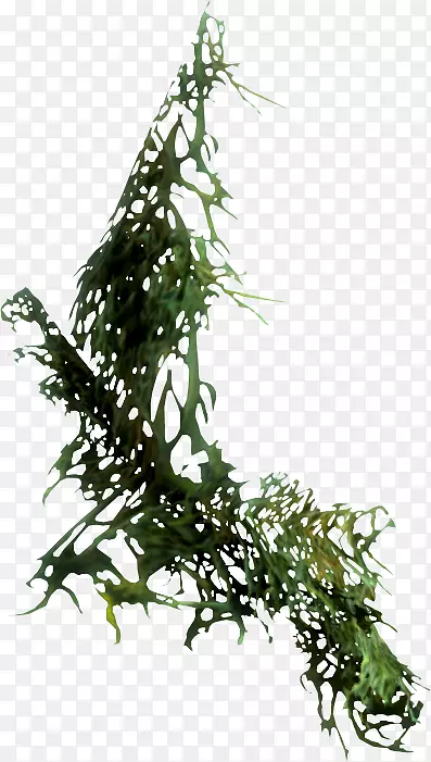 老卷轴v：天边-蜻蜓出生的苔藓涂鸦-苔藓原木