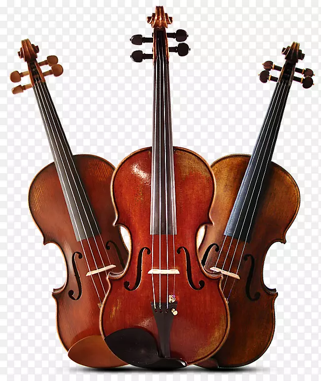 低音小提琴中提琴低音乐器音乐