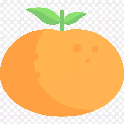 电脑图标封装后记时尚剪辑艺术橙色食品