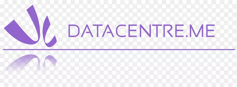 首席执行官数据中心北2018年服务公司行业-紫色点
