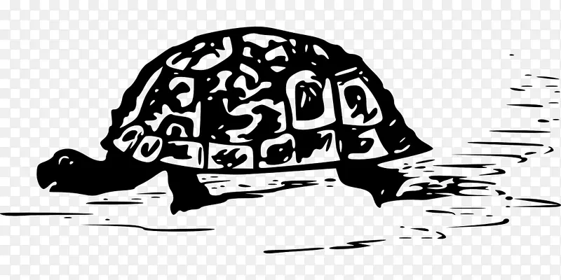 海龟的t恤赫尔曼的乌龟