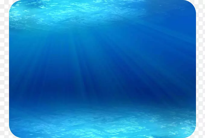 海洋海洋生物水下动物海底背景下