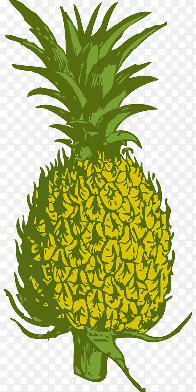 夏威夷菠萝美食剪贴画-菠萝