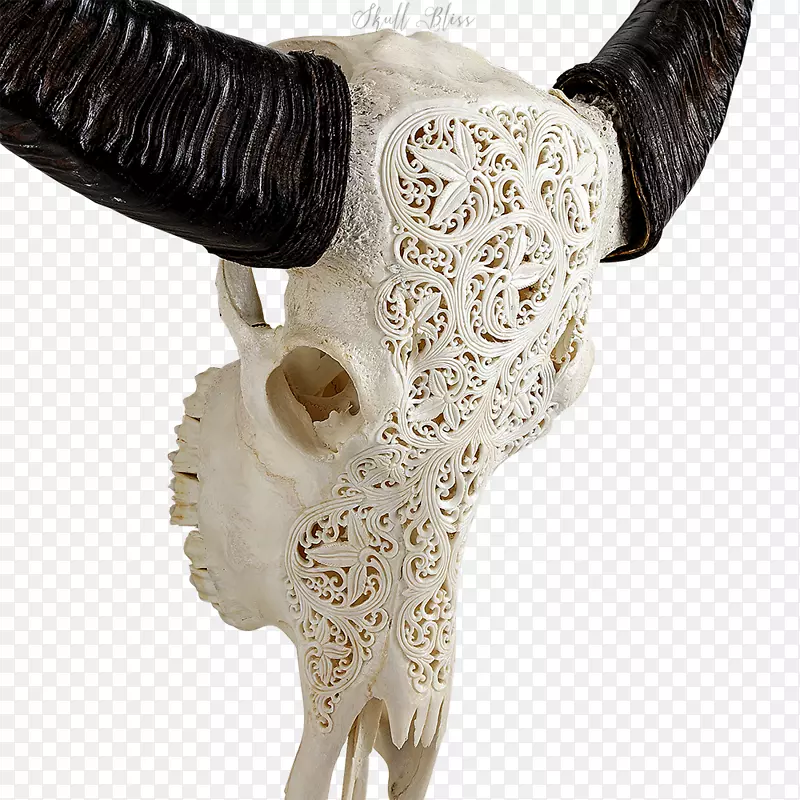 动物头骨角雕全系带水牛头骨