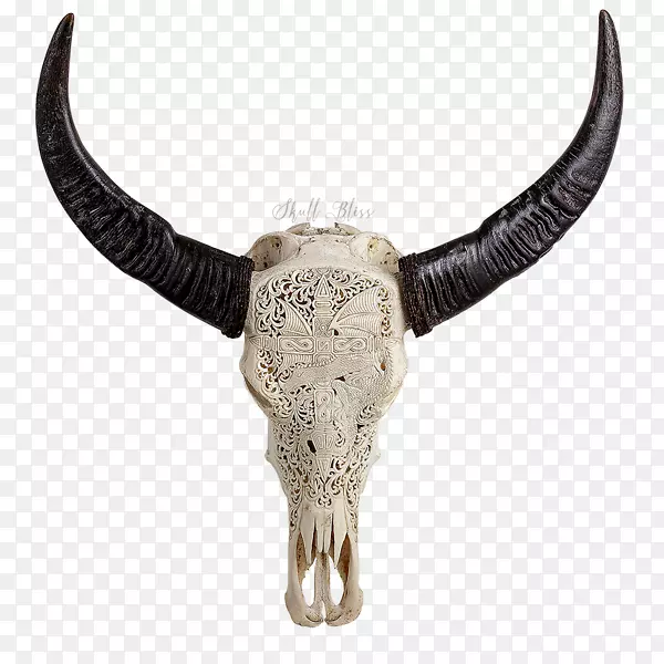 牛角人头骨象征动物头骨.水牛头骨