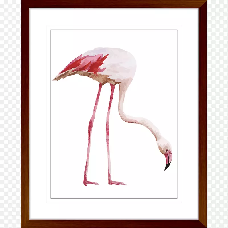 Flamingo桌面壁纸iphone壁纸-火烈鸟