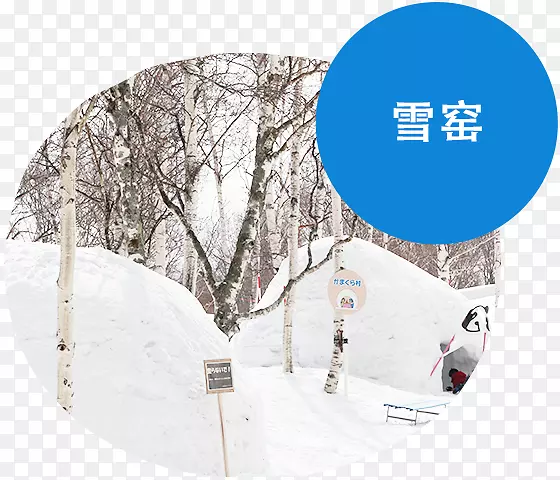 米纳卡米科根滑雪胜地jōesu shinkansen冬季花园