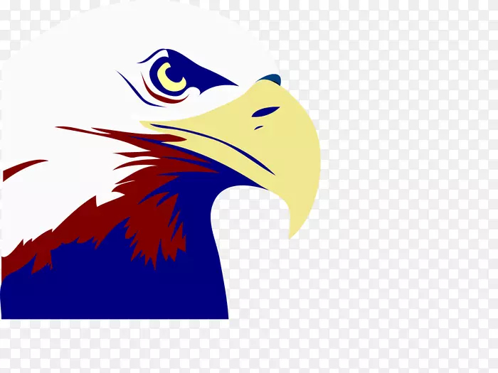 秃鹰菲律宾鹰电脑图标剪辑艺术-老鹰
